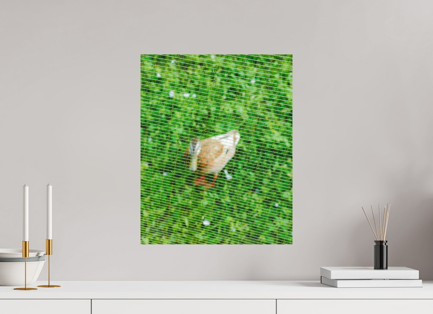 green duck